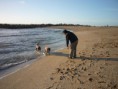 /album/fotogaleria/a555abcdef-010-jpg/